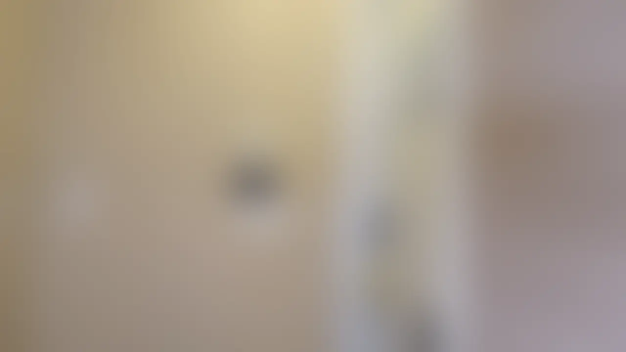 【本編完全顔出し】 sample 1