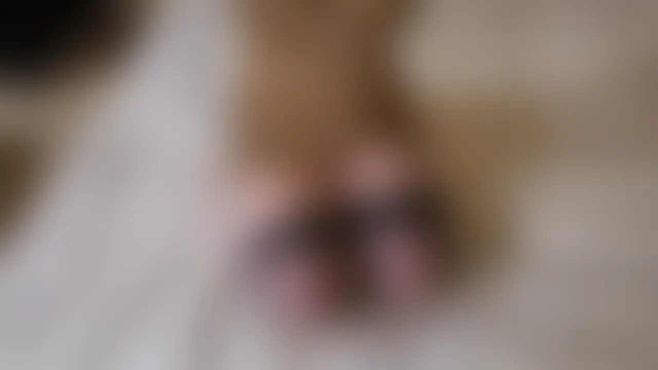 豹柄ボディタイツでM男可愛がり😈
乳首とアナルが雑魚なM男くんをよちよち可愛がっちゃうよ😘
おっぱい吸わせて赤ちゃんみたいにバブバブしてるの🥹
授乳乳首舐め大好きだよね✨
アナル舐め手コキしたら喜んじゃってキモい😇
けどむにが天国まで連れてってあげる✨
騎乗位で沢山沢山気持ちいいのしてあげる💜
我慢できなくて中出しして気持ちよさそうな変態マゾ君でした🤤 (2/2)