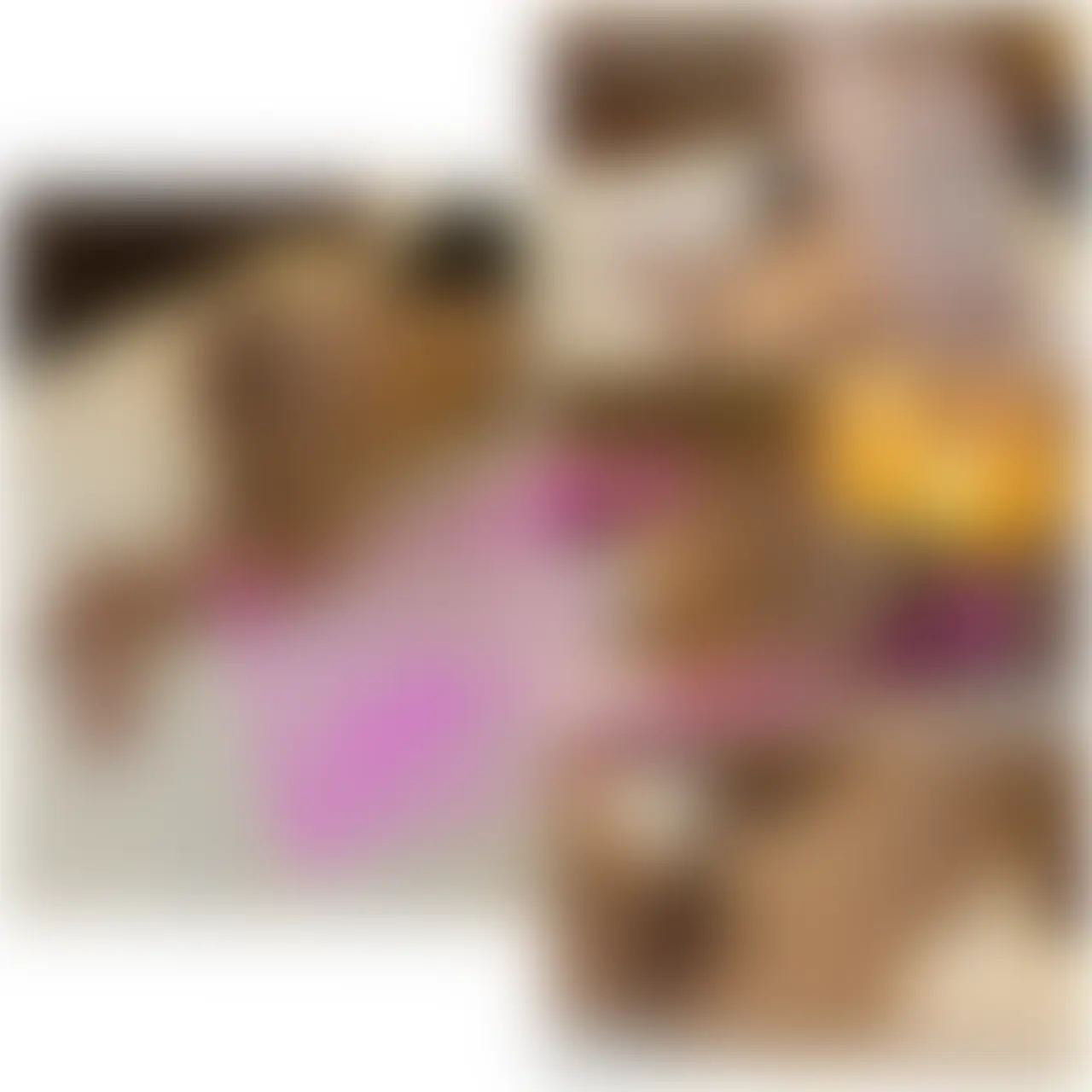 まゆちゃん
生ハメ2回戦目
生ハメ中出し交尾
本編顔出し (2/2)