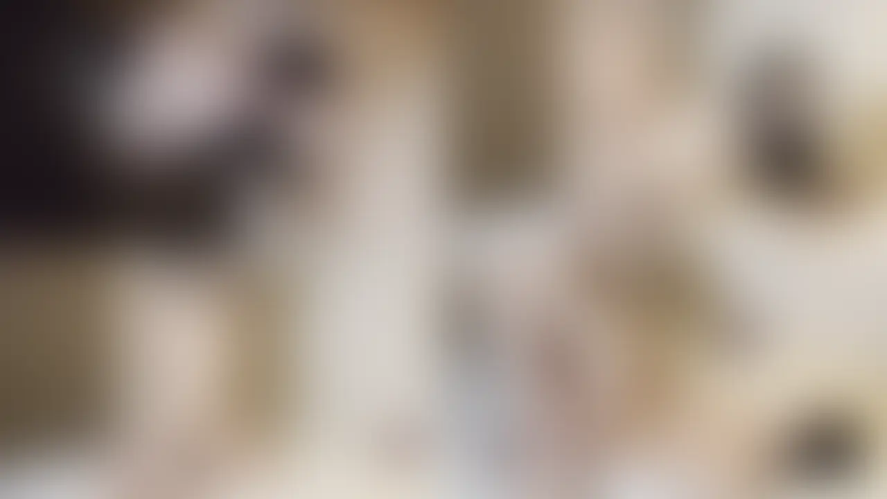元SM女王の美乳お姉さんとの密会。
元SM女王の美乳お姉さんは、実はドMのお姉さんでした。 (2/2)