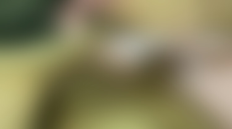 ガーター履いた変態巨乳人妻に誘惑されて騎乗位で大量中出し (2/2)