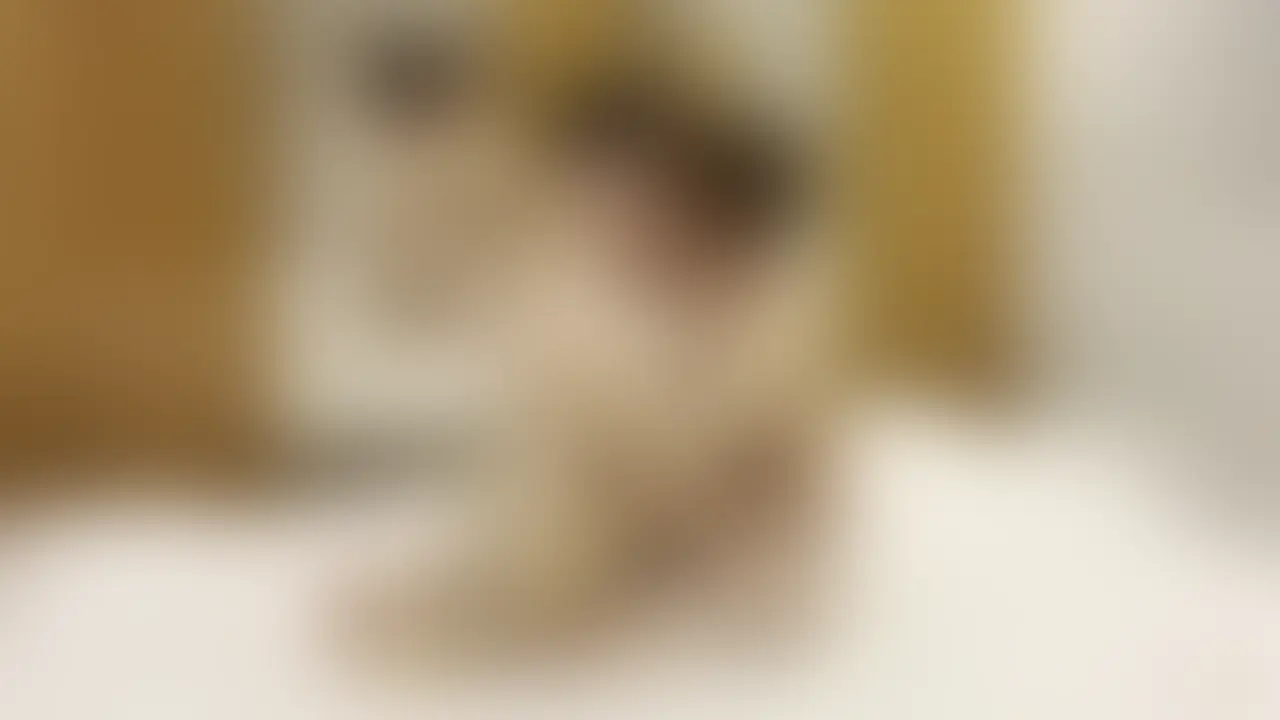 潮吹き自慢のエロ垢男子を潮が枯渇するまでデカマラでガン掘りして吹かせまくった sample 1