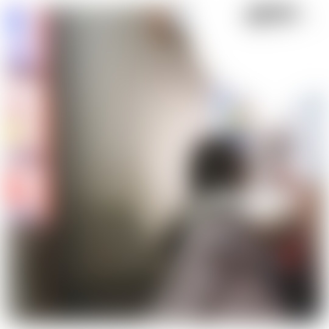 ザーメン飛ばし過ぎ注意。
Be careful not to cum too much!

----------------------------------------

⚠️プランを購読していただくとと見ることができる限定動画です⚠️
単品販売は一切していませんので是非プランを購読して楽しんでくださいねっ！

----------------------------------------

⚠️This is an exclusive video that can only be viewed by subscribing to the plan.⚠️
Please subscribe to the plan and enjoy the video, as it is not sold separately!

----------------------------------------

#地雷系 #量産型 #裏垢女子 #えちかの #彼女のえちえちが止まらない。
#kano #echikano #echiechimykanojo #kawaiigirl_tokyo

#ファー #コート #野外 #路地裏 #着衣
#fur #coat #outdoor #alleyway #dressed
#コスプレ #変態 #カワイイ #射精 #ぶっかけ #口内射精 #ゴックン
#cosplay #hentai #kawaii #cum #bukkake #swallow #cum-in-mouth #gokkun

#フェラ #手コキ #イラマチオ #脚 #太もも #靴 #手マン #指マン #クンニ #潮吹き #おしっこ #バック #立ちバック #後背位 #おっぱい #乳首 #擦り付け #連続 #オーガズム #ポルノハバー #ユーチューバー #ティックトッカー #インフルエンサー #アジア人 #日本人 #韓国人 #中国人 
#fellatio #blowjob #handjob #irrumatio #feet #shoes #footwear #finger-banging #cunnilingus #squirt #pee #doggy #tits #boobs #nipple #rubbing #orgasm #pornhub #youtube #tiktok #pornhubber #youtuber #tiktoker #influencer #asian #japanese #korean #chinese #fyp (2/2)