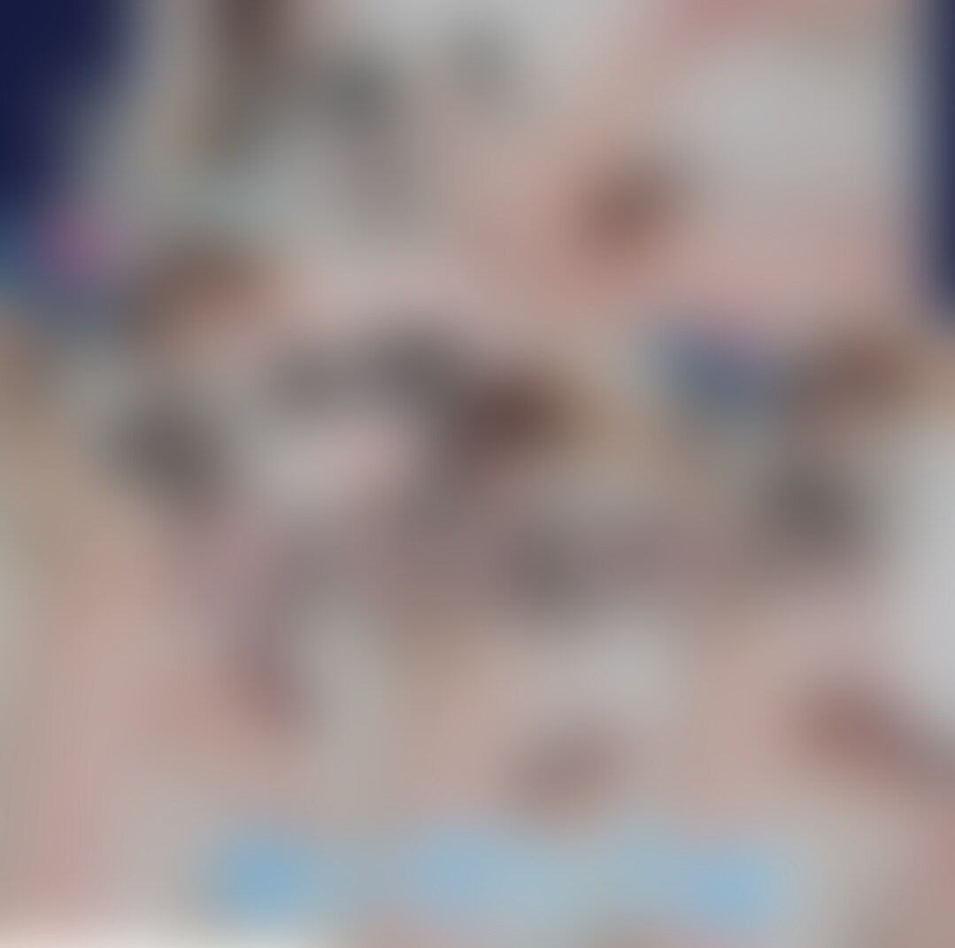 (たっぷり6分♥️きわきわ💦マンちらローアングル)ふんどし少女の電マ立ちおなにー　電マでふんどしがゆるんで、おま○こチラリ



(りかはおとなです✨成人してます☘️)　

こんばんは🌃りかです
今日も１日お疲れさまでした(⑅꜆˘̤ ᵕ˘̤)꜆🍵
お帰りなさい♥️
今日もりかの投稿見てくださってありがとう✨
すごく嬉しいです！♥️
自撮り速報や、ふんどし自撮り速報もたくさんお気に入りやリアクションありがとうございます✨すごく嬉しいです

今日はふんどし少女ふんどし少女の電マ立ちおなにーです電マでふんどしがゆるんで、おま○こチラリ///


今日も１日お疲れさまでした(⑅꜆˘̤ ᵕ˘̤)꜆🥤
ゆっくりお体休めてくださいね🍀(´,,･ω･)᎑<,,)ﾁｭｯ♥

(りかはおとなです✨大丈夫です☘️) (2/2)