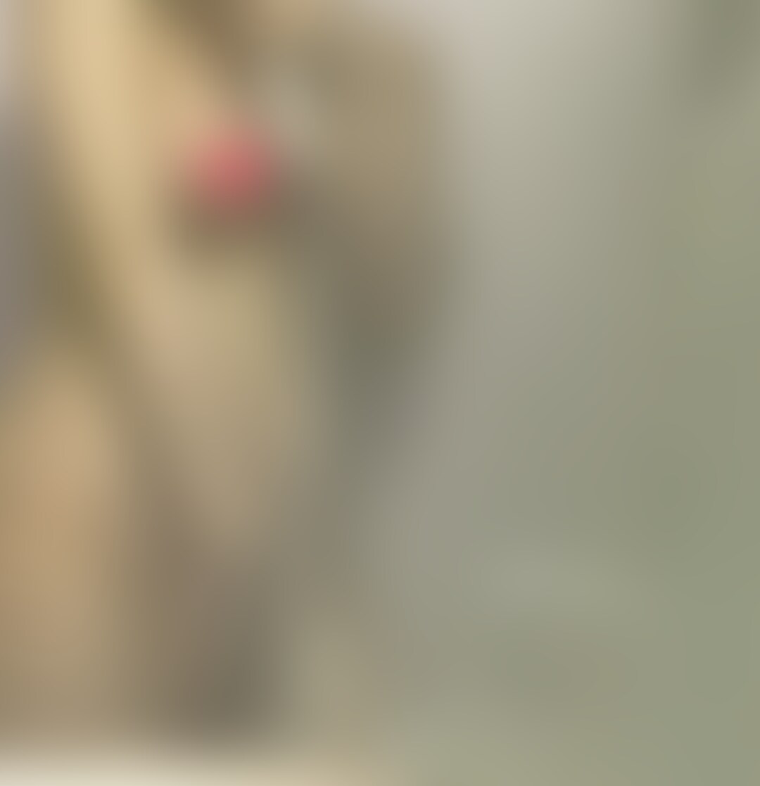 「高○有○里」バド部合宿先にてシャワー音に紛れてオナニー🤫
今回の動画も同じ学校の女子仲間が撮影した、バドミントン部の合宿先での○○○です!
昨年度から部長になった有○里りちゃんが合宿先でこそこそオナニーしてたみたいでまんまと○○○されちゃいましたね😏💕
2カメで撮っていたらしいですが不具合で途中からメインのみで(´;ω;`)
撮影にはトラブルがつきものですなあと友達としみじみ笑
ではでは今回の内容は↓↓
シャワールームに入って裸になり歯磨きしながらシャワーを浴びる部長(`・ω・´)
そして早速オナニー開始🩷
部長になった責任からかお風呂でオナニーをしてストレス発散しているのかな?
胸もイジイジしながらアソコもいじって、気持ちよくなっている様子🥰
イッちゃった後は顔を洗ってさっぱりしてパジャマに着替えてました。
切り替え早い笑 (2/2)