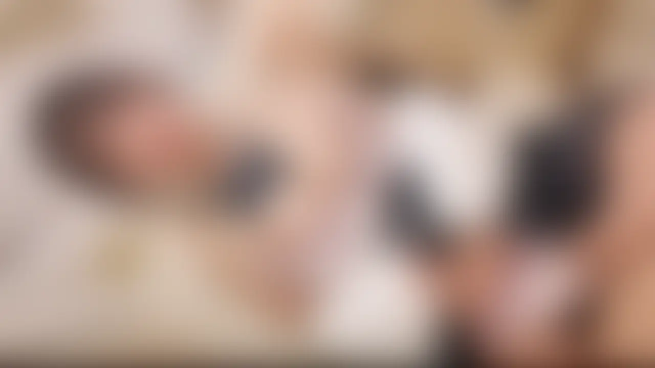 着衣エッチでハメ撮り♡「本編
https://myfans.jp/posts/8a7ca2be-af3」の投稿サムネイル