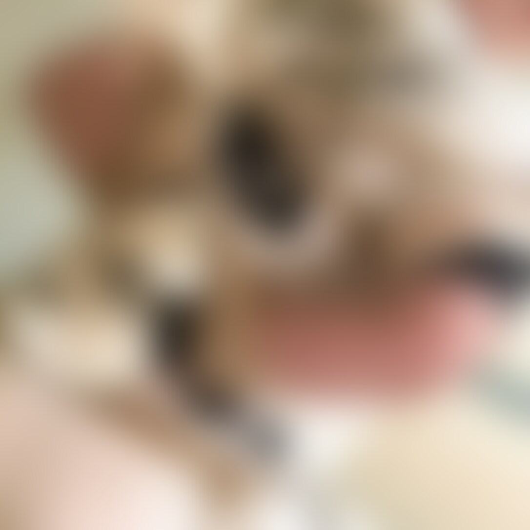 野球部合宿部屋 sample 1