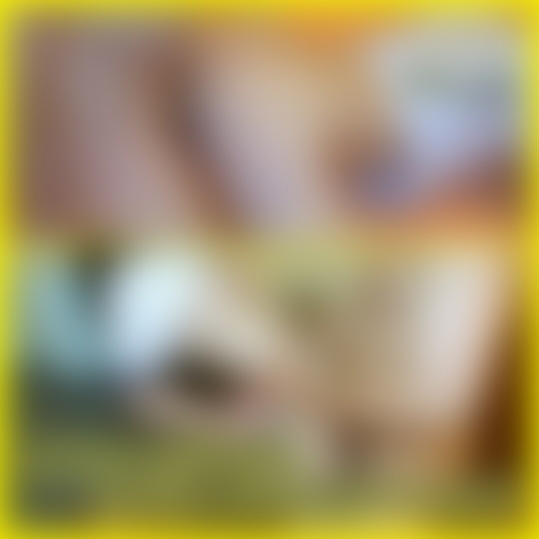 右上の「♥いいね」押してから見てくれると嬉しいな♬
∴∵∴ ୨୧ ∴∵∴ ୨୧ ∴∵∴ ୨୧ ∴∵∴
こんばんは、みゆです🌙✨
前回のおもちゃ○○○の後の動画です💕
この時おもちゃでいっぱいいじめられた後だったから
頭の中もおまんこもグチュグチュになって気持ちよかった///
変態だから寸止めとか○○○プレイとか大好きなの💕
みんなだったらみゆのこと、どうやっていじめてくれる? (2/2)