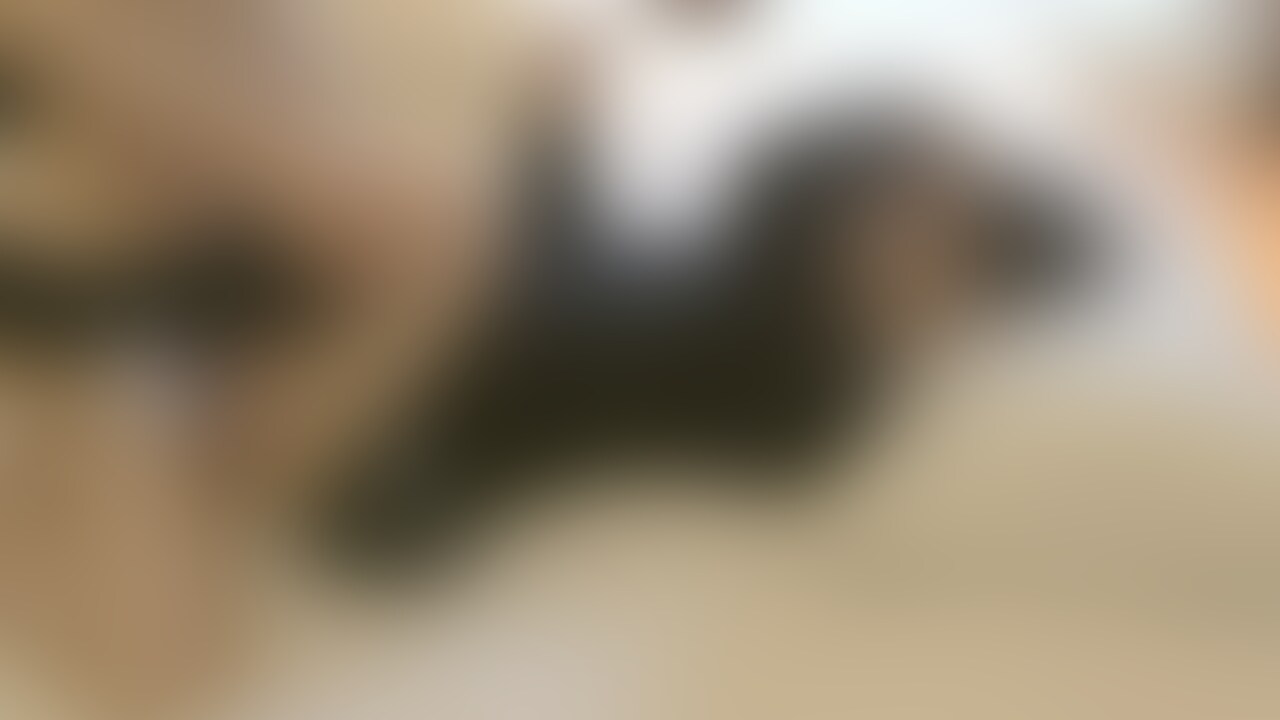 【プレミアム限定】堀北◯希似芸能系美少女学生(18)との正常位まとめ1【myfans限定】
⇩X(Twitter)の新えちえち動画垢はこちらです⇩
X🆕動画垢➔https://x.com/rktmain (2/2)