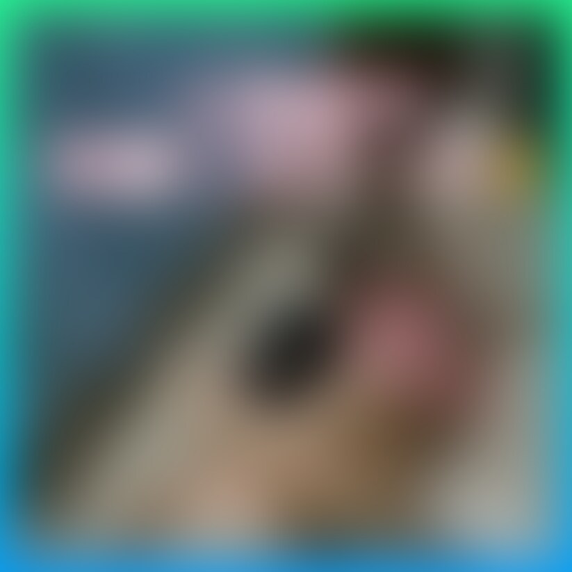 legscissours、三角締め、カニバサミ、プロレス技、くすぐり
やりたい放題やったよね笑笑 (2/2)