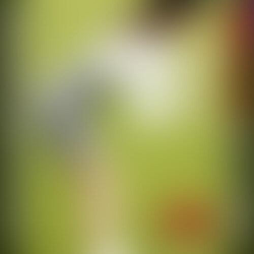 みんな解放的になっててナンパ成功しまくリングですばいや!!
さんぷる見てみて!
https://myfans.jp/posts/16630034-59f3-43a5-89e7-9f1ba4fab956
っと大変お待たせいたんしました!!!貧困女子大生をナンパしてきました編、もう一人のピチピチっ子ちゃんです!!!
大学キャンパス内で最もヌカれたスーパーGカップ!19歳!!体はしっかり大人のエッロいおっぱいまんこに成長したのに、まだまだお茶目なおこちゃま感も残っていて
これヤバイっしょ!!
本編はこちらから↓
https://myfans.jp/posts/4af002f8-d695-4c43-9e66-810cd5ebe88f
無料で見るならこちら↓
https://myfans.jp/posts/eed99a27-7cfa-4ac5-acf4-00be4e22cc20
ふらっとフェラだけ見たいなら↓
https://myfans.jp/posts/27556275-ab91-4534-97e5-f17e62431f41
ふらっとハメてるシーンだけ見たいなら↓
https://myfans.jp/posts/1defc38a-051f-4f56-970f-002ae00dc23c
銀河をスペースランナウェイ!性欲パルサー状態⇒無邪気×美少女×最強ボディ×寄ってくる男たちによりパコられ開発されてきた鬼敏感ボディ&女体の知識⇒究極のヤリマンアイドルに大進化。
巨乳○○○x2という超レアシチュエーション!!
--------------------------
●わかちゃん(19歳)
・宇宙は好きだけどUMAのほうが好き
・もなちゃんのおっぱいが気になって仕方がない
・食べるのだいすき
●もなちゃん(20歳)
・宇宙大好き。
・大学ではめちゃくちゃナンパされる
・男たちの視線をおっぱいに感じると乳首が勃っちゃう
・潮吹き、中イキ、乳首イキ、すべての開発を自力&男に協力してもらって開拓してきた
・鬼敏感www
--------------------------
世間のみなさまへSEX宣言するわかちゃんww
えへへ♪ってスマイル^p^
全部ゆるしちゃう★
嬉しそうにチュパチュパおちんちんしゃぶっちゃって…エロカワイイ!!
ワカちゃんも。カラダ最高、乳最高、感度も最高、めちゃくちゃスケベ女で神!神!神!!
いやもう、ほんとあとは何も言いません!神回であるといえましょう!!
成長期で膨らむパンパンおっぱいで乳首がきれい。おマンコピンク。
騎乗位&バックで揺れるポニテがまた燃える!肉厚なお尻がめっちゃスケベ。
アイドル級の美少女顔がなんどもアクメして切ない顔するのホントたまりません!好きになっちゃうこと間違いなし!!
もちろん、もなパイちゃんも…
いるよっ!!
超純粋でこんなにエッチが大好きな子のセックスを見るの、心が浄化されてマジ抜けます!!
~各種プランの案内~
【全部見れる】🐱にゃんすたプラン【超お得】・・・中出しナックルズ・超時空夢幻カメコ・スタミナ二郎
全てのアカウントの全ての動画が閲覧可能💓
さまざまなジャンルでシコリライフのQOLを上げていきたい方にお勧め!
📸超時空夢幻カメコプラン・・・コスプレに特化したプラン!秘密の個人撮影会の様子を公開します。
こちらのプランに参加することで『超時空カメコ』作品のみ見放題で見ることが出来ます。
🤝中出しナックルズαプラン・・・乱交!乱交!乱交!乱交といえばKEN率いる愉快な仲間が作り上げる乱交ハメ撮りクリエイター集団の集大成!
こちらのプランに参加することで『中出しナックルズα』作品のみ見放題でみることが出来ます。
🍜スタミナ二郎プラン・・・ナンパ・いちゃいちゃ・話題のSNSの人を中心にハメ撮り動画を公開中!
こちらのプランに参加することで『スタミナ二郎』作品のみ見放題でみることが出来ます。
❤️🐈⬛ふらっとハメハメプラン🐈⬛❤️・・・ふらっと、ハメてる部分だけを見たい方にお勧め!
全作品のハメてる部分だけ見放題でみることが可能です🤭
😽😽ふらっとぺろぺろプラン😽😽・・・ふらっと、ぺろぺろしてる部分だけを見たい方にお勧め!
全作品のぺろぺろしてる部分だけ見放題でみることが可能です🤭
🐟無料えろちゅーる🐟・・・最長20分の動画が無料で見れます(/・ω・)/
とりあえずこのプランに入って様子を伺うもヨシ (2/2)