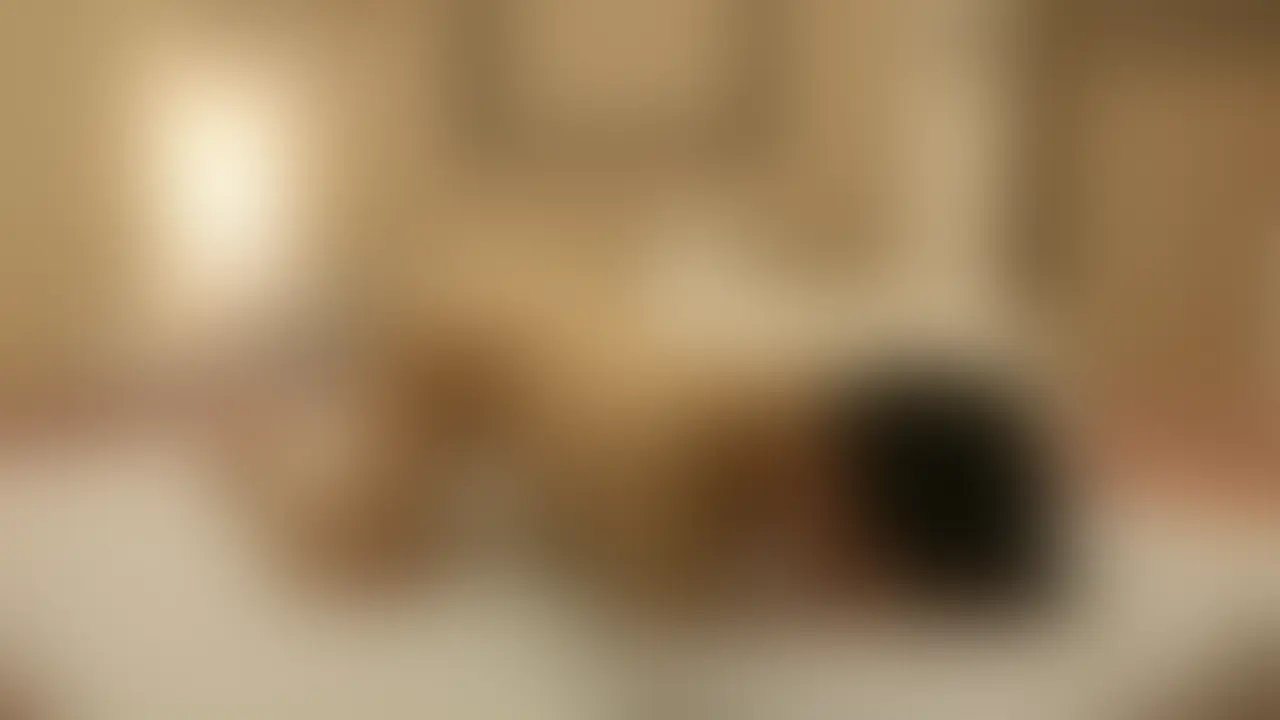 ゆうくん20歳学生-ペニバン編-【元AV男優TATSUYAの開発部屋】 sample 1