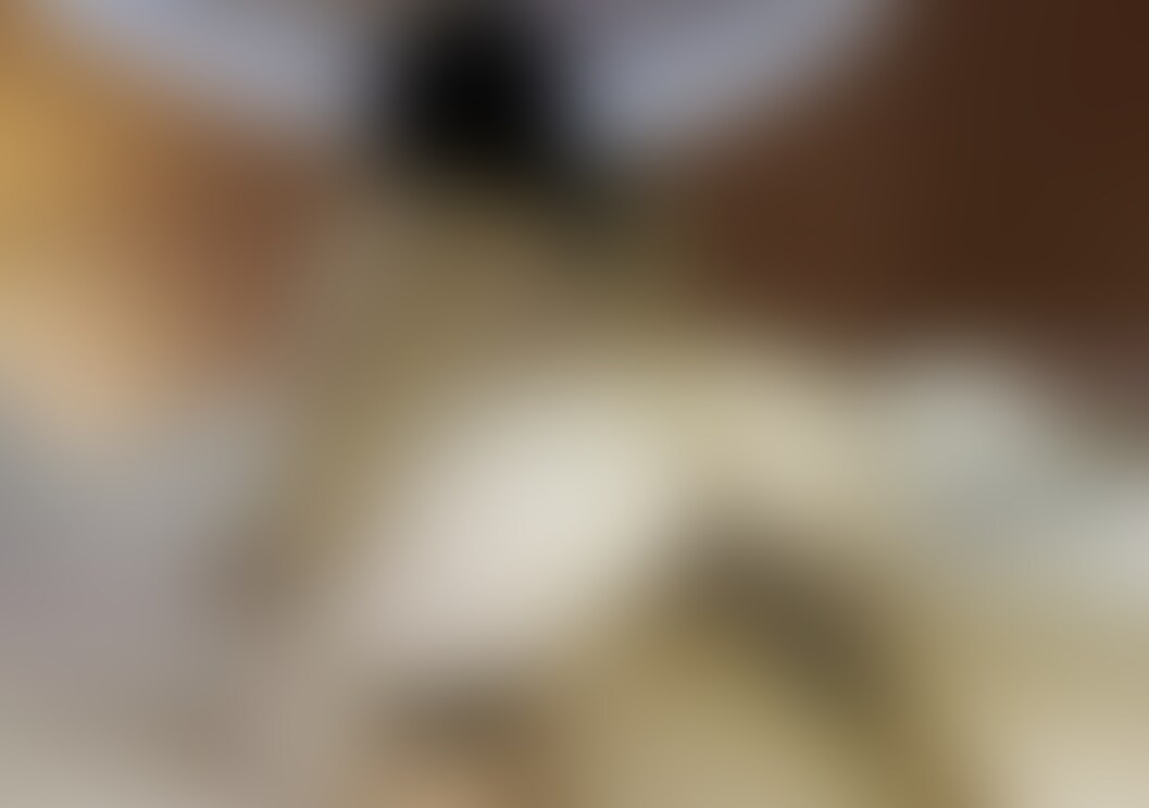 初めての長編動画です.ᐟ
終始気持ちよくて濡れすぎました、、
ドMなくせにフェラや手こきでいくの我慢してるの見るの好きなんです😶 (2/2)