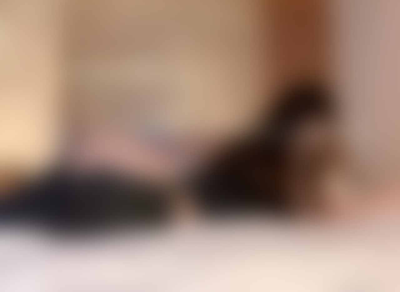 おっぱいもおしりもたっぷり堪能出来るハメ撮り動画です🍑
おっぱいもおしりもプルンプルンっっっ♡
最後の体位が気持ちよすぎた.....
やっぱり奥までガンガン突かれるのが○○○されてる感あっていいよねー♡ (2/2)