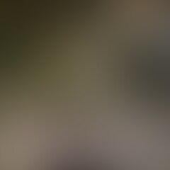 つい最近珍しく友人と繁華街に出て飲みに行っ
たのですが、
たまたま同じ店に知り合いの女の
子がいたので同じ席で飲むことになったのです
が
途中から下ネタトークになり僕がかなりム
ラムラしてきたので
「ちょっと一瞬だけ店から出て階段とこ行こう!」
と○○○手を引っ張って非常階段へ連れて行
きましたw
そして階段のところに女の子を座らせ僕はパン
ツを脱ぎフェラしてと言うと
「やだ!はずかしい!」

といいながら顔を隠していたのですが、黙って咥えさせましたwww

フェラをさせているとどうしてもやりたくなっ
たので、女の子後ろ向きにし
嫌がっていまし
たが構わず勝手に女の子のパンツをおろし、そ
のまま立ちバックでやっちゃいましたww
 (2/2)