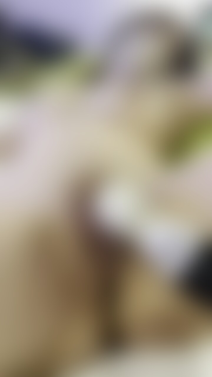 【期間限定】
この動画を購入いただいて、コメントかDMで「動画希望」といただいた方先着5名に、あなたの名前を呼びながら美玖がイッちゃうオナニー動画をプレゼントしたいと思います♡
言ってほしい言葉とかも可能な限り答えますのでどしどし♡
※先着順になりますので予めご了承ください。
生理もおわって、むらむらがとまらないので…。
たくさんいじめてもらいました♡
いっぱいイッちゃった。
ぜひ見てください♡ (2/2)