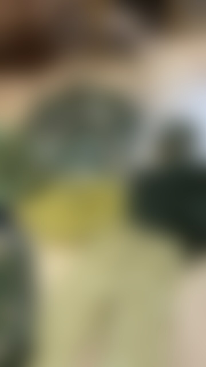 迷彩服もパーツ多いね sample 1