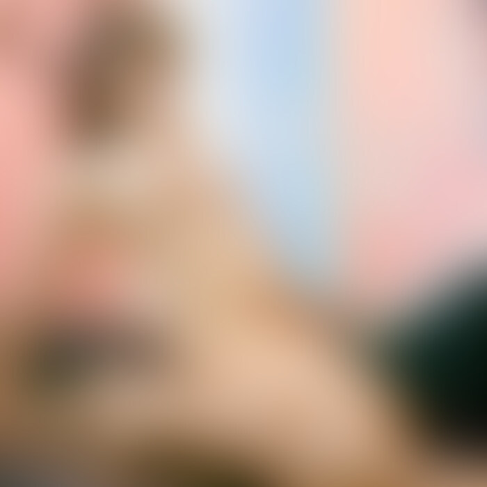 ↑［いいね♡］お願いします🥺❣️


みなさんこんにちは🐶♡
今週の新作動画アップです！

今回は精力剤を飲んだまおくんvsろこ！の動画です😎💊（？笑）

2週間ぶりのえっちでしたが、見た目からもういつもよりギンギンになってる感じがありました…
事後、満たされすぎて全然ちゃんと会話できてないですね😂

極太になったおちん◯んで○○○されてる様子、ぜひご覧ください🔥


今週も見てくださってありがとうございます🐶！ 
［いいね♡］とコメントお待ちしてます🙌


-----
今回ご提供いただいた精力剤はこちらのURLから購入できるので、気になった方はぜひ見てみてください〜❣️
▶︎▶︎▶︎ https://tag.since2018.jp/cl/13686W89
----- (2/2)