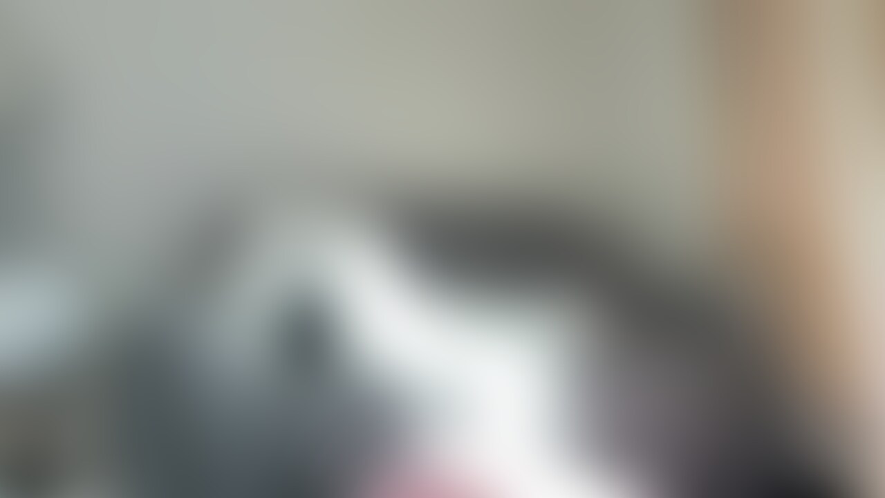 【みれい 20 歳】
みれいさんのライブ配信動画です
生配信だと、1 回の有料配信を視聴すると、おおよそ平均 5,000 円の課金が必要です!
また、見逃してしまうとその配信は2度とみることができません!
【スタンダードプラン】以上では、同じ金額で過去の配信が【見放題】となっています
生配信では みれい さんへコメントでリクエストもできちゃいます!
ぜひ生配信でも応援してください!
【この動画について】
・配信日 2025年2月13日
・無料枠配信
・ご視聴は【ライトプラン】【スタンダードプラン】【プレミアムプラン】のご加入をお願いします
*各プランの説明はプラン概要をご覧ください
※動画、写真の無断転載は著作権侵害となり、10年以下の懲役もしくは1000万円以下の罰金、またはその両方が科されます
発見次第、掲載サイトへ連絡の上、発信者情報開示請求等の法的措置を取らせていただいております。 (2/2)