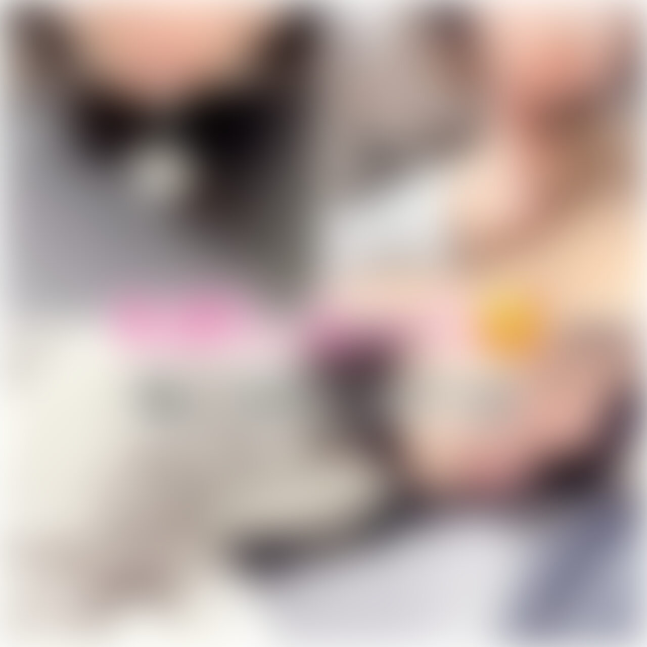 布越しフェラ💕ソファを買ったので彼に座ってもらっておちんぽ舐めてみました🥰AVみたいですね!興味本位で布越しでもいっぱい舐めました✨️精子見やすいかなって思って最後は手頃な黒い紙に出してみました🍼
【みみからのお願い💕】
♡印をポチッとしてくれると
投稿の励みになります🐬
【有料プラン未入会の方へ🔰】
この動画は1980円で単品購入できます🎥
【プラン入会はこちらから✨】
https://myfans.jp/MimimiCreative/plans
No.309★07:50 (2/2)