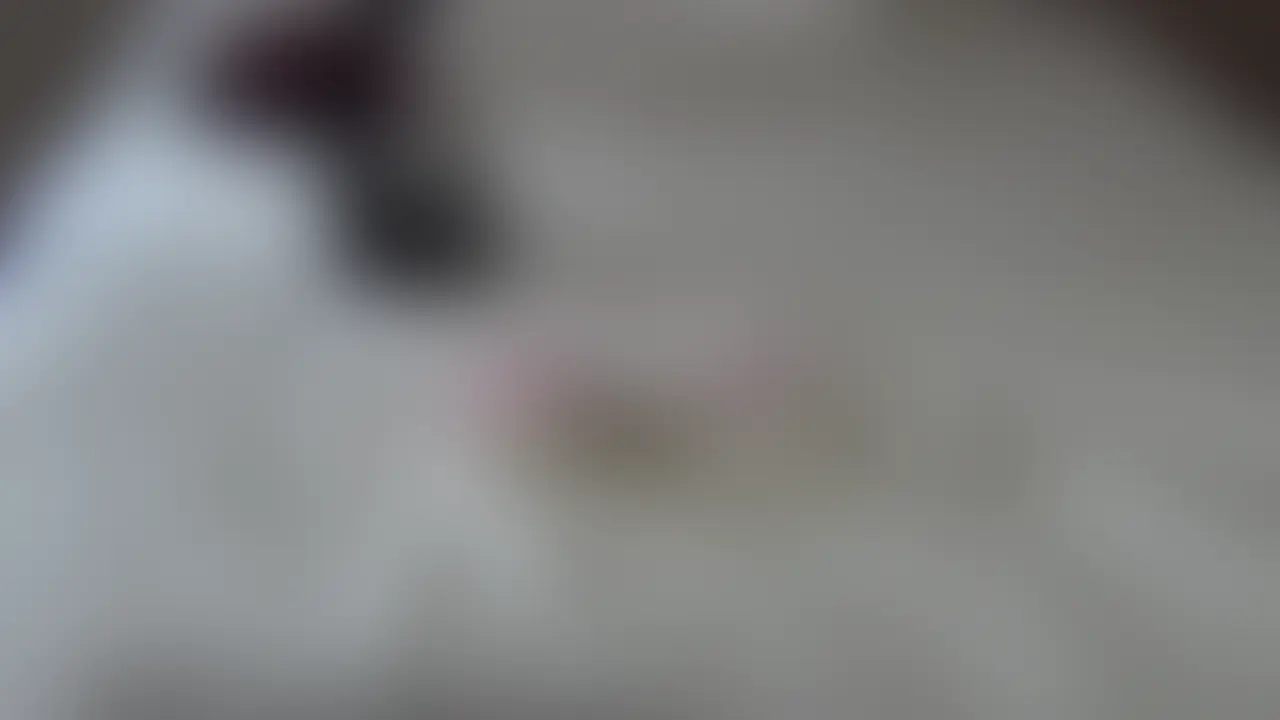 こちらは見放題+PLUSプラン専用動画になります。 (2/2)