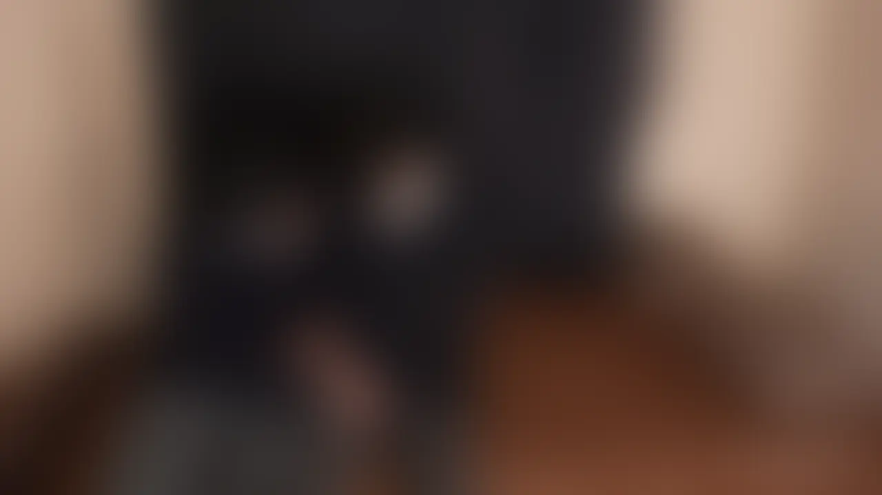 合法DK同士が学生服着て中出しSEX！大量に出しちゃった sample 1