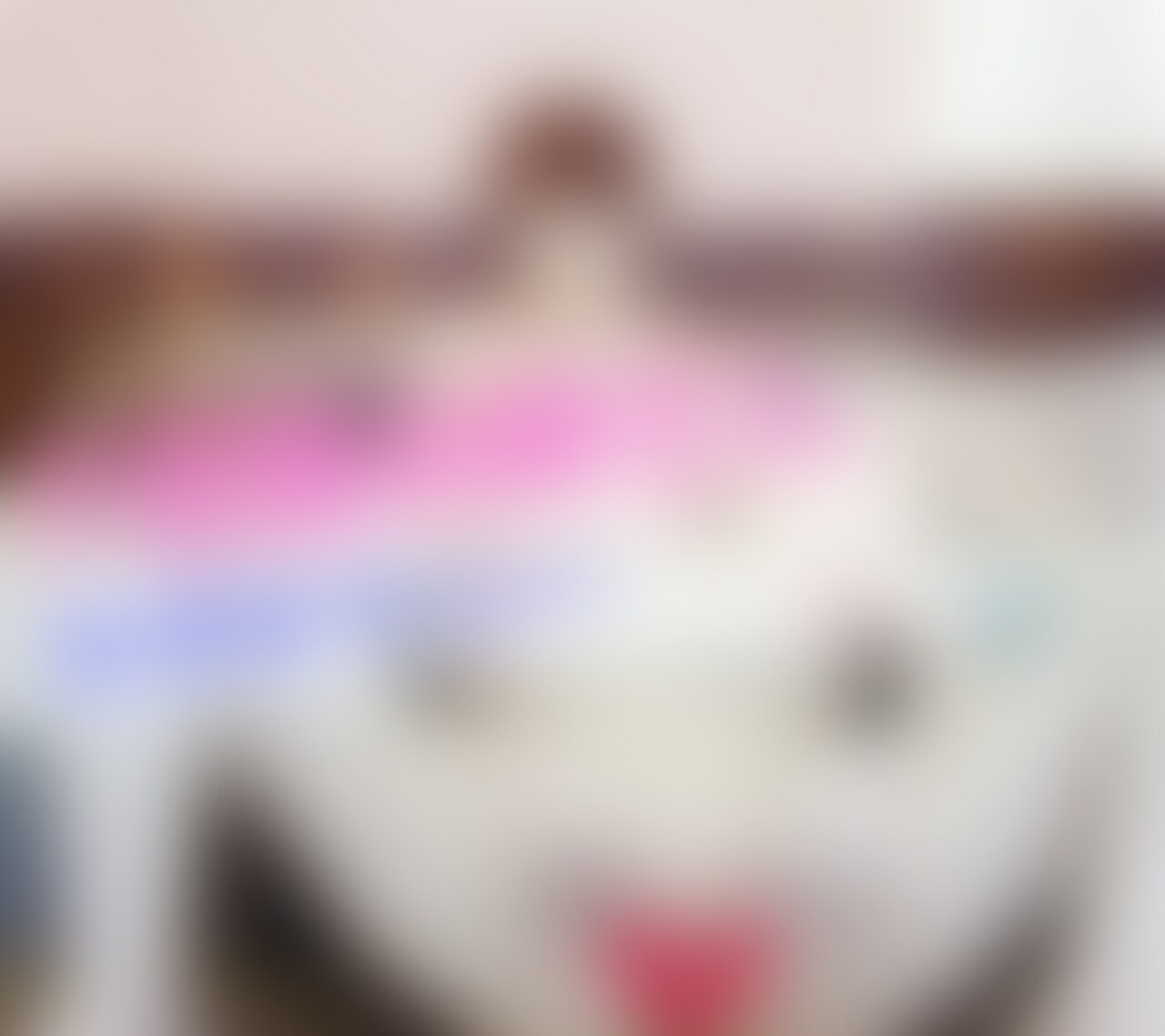 ヨガしてたらムラムラして濡れちゃった♡ (2/2)