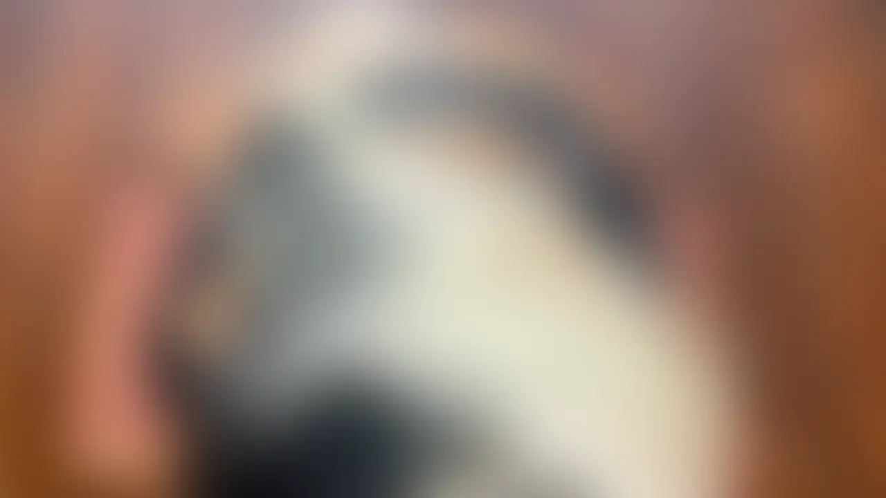 【喉奥衝突イラマ】本気のイラマフェラに興奮しすぎて子宮の底から大絶潮💗
*:;:*:;:*:;:*:;:*:;:*:;:*:;:*:;:*:;:*:;:*:;:*:;:*:;:*:;:*:;:*:;:*:;:*:;:*:;:*:;:*:;

溜まってる時はいつでもシルフを呼んでください?
シルフのこのお口で喉奥までぐっぽりフェラしてあげますから💗

興奮してすごいお漏らししてるのは内緒ですよ...?

【再生時間】
11分59秒



*:;:*:;:*:;:*:;:*:;:*:;:*:;:*:;:*:;:*:;:*:;:*:;:*:;:*:;:*:;:*:;:*:;:*:;:*:;:*:;:*:;

🍃X(Twitter)🍃
メイン
https://x.com/sylphid_robin3
???
https://x.com/uraphid_robin2

ーーーーーーーーー注意事項ーーーーーーーー
撮影許可をいただいているスタジオでの撮影になります
ご注文確定後のキャンセル・返品対応はいたしません
予告なく商品を削除される可能性がありますので前もってのDLを推奨しています。
商品に関するメッセージをいただいても返答しかねますのでご了承ください。
二次配布・無断転載・その他個人で聴く目的以外でのご使用はご遠慮ください。
期間限定特典に関しまして、別途商品として販売する可能性がございますのででご了承ください。 (2/2)