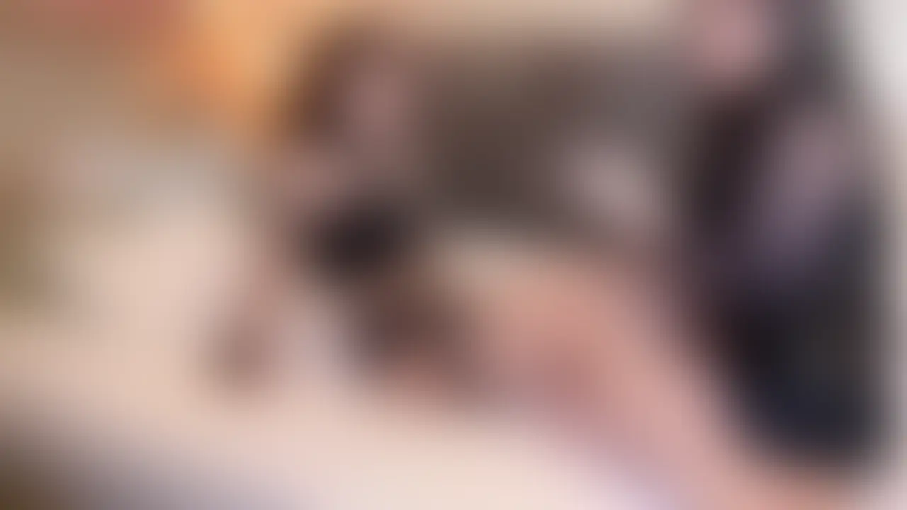 電気首輪⚡アナル責め… アリス様におかされてました🥲  女王様…攻めるときニコニコなの 怖いけど気持ちよくて…💕💕脳みそ めちゃバグってました🤫✨️ (2/2)