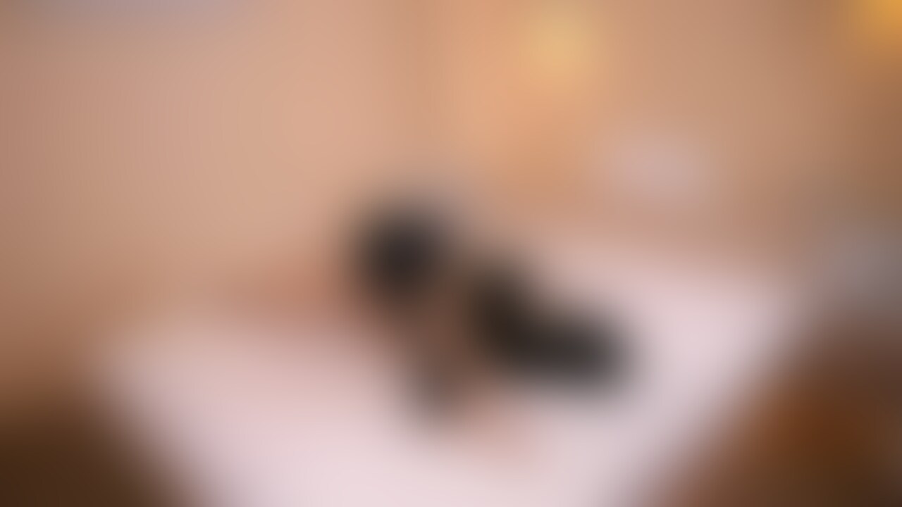 ナンパ ○○○ ○○○エロ動画 ❤️
制服着衣エッチ‼️大量顔射❤️ (2/2)