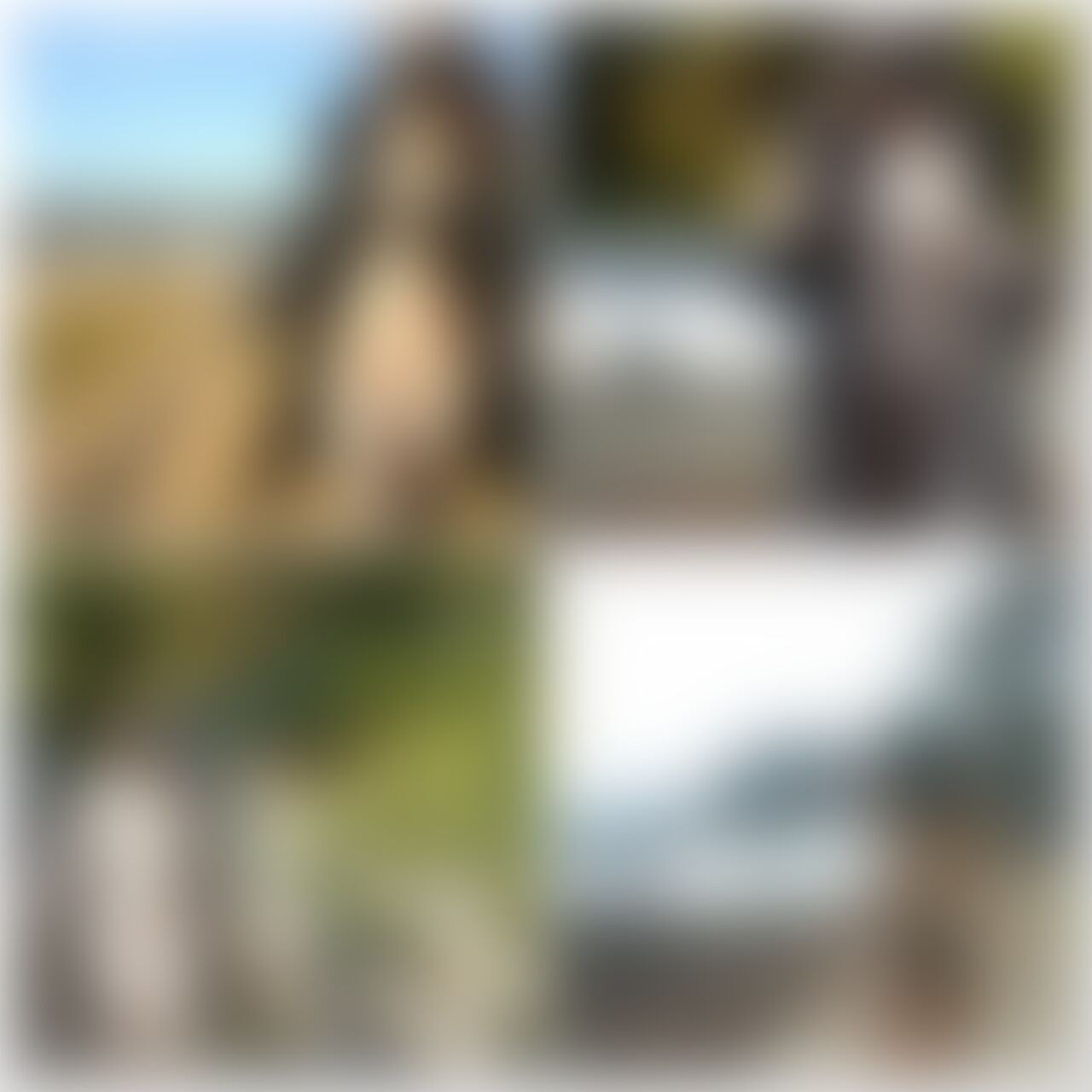 29弾 19分17秒
昼間の露出☺️
車が通ってる住宅街脇の川沿い
車が沢山通る幹線道路沿い
海へ降りる歩道で全裸
海沿いで全裸
履いてないとモザイク大変そうな角度で撮ってたから遠隔ローターは外せなかったけど、色んなところ裸でお散歩させて頂けて大満足でした☺️ (2/2)