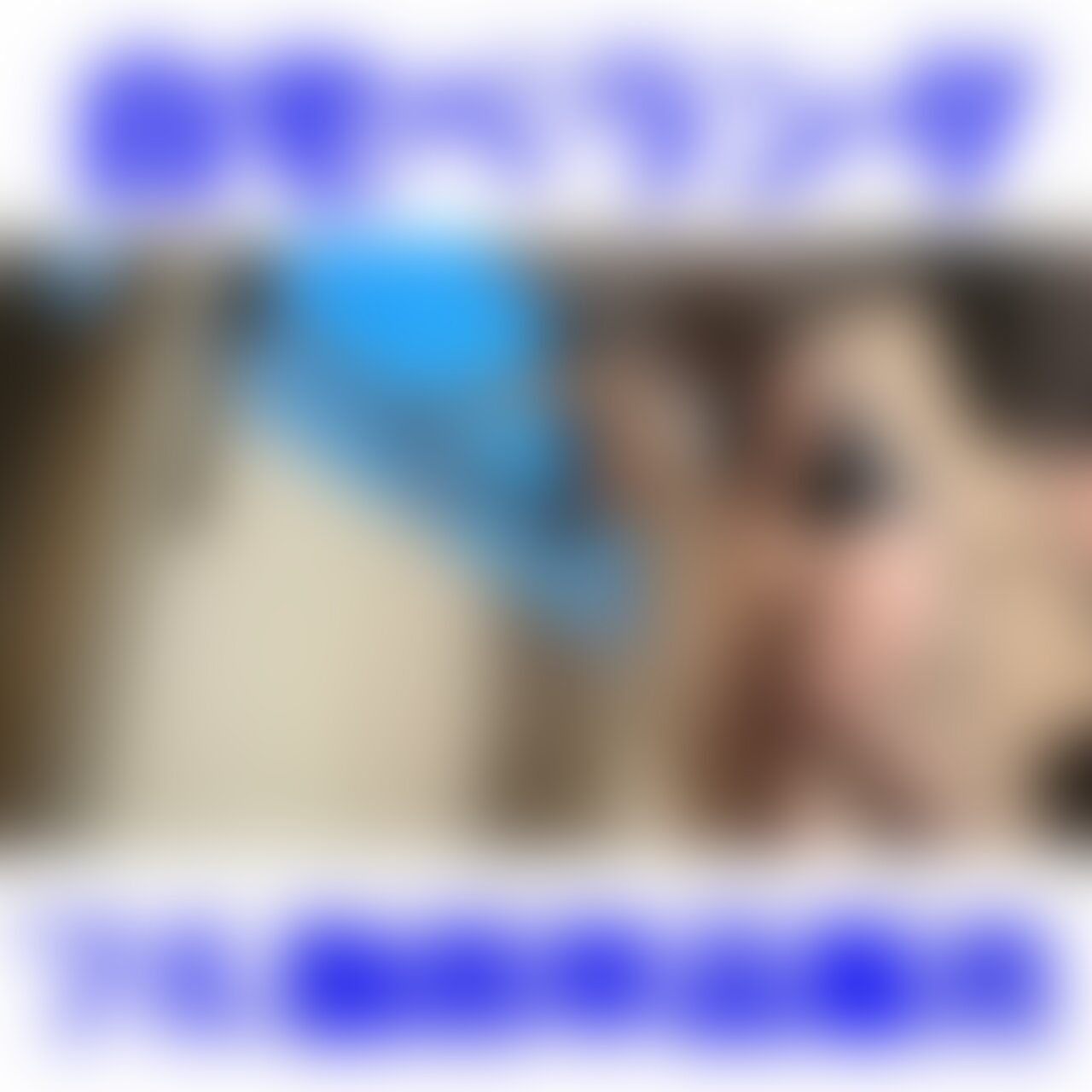 応援のいいね👍お願いします🥹💓
お隣さんがいるのにベランダで露出SEX💕
の単品動画の案内です😊❤️
なんかね
ベランダで人妻が不倫SEXしてる動画見てね
いつかやってみたいなーって思って
ついにやっちゃいました🫣💕
しかもね
途中にねお隣さんが帰ってきて
バレないかすごーく緊張したよ🥺
彼はそんな私をみて、喘ぎ声ださせようとね
激しくしてきて大変だったよ🫣❤️
上の♡マークは必ずクリックお願いします🙇♂️
スタンダードプランにもバックナンバープランにもご入会してなくても、♡マークは全て押せますので、とにかく♡マークは単品販売も含めて全部クリックしてくださるとすごく嬉しいです💓💓💓
お願いします🥺💕 (2/2)