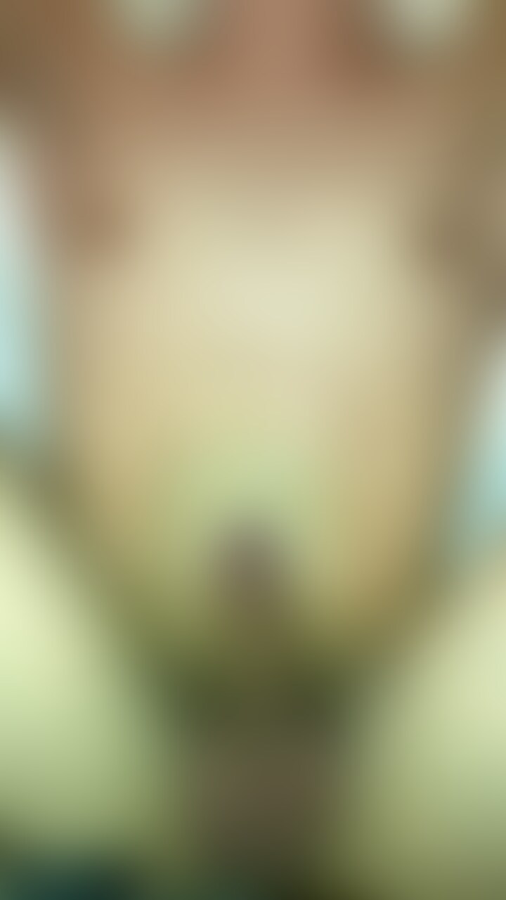 20代スリ筋可愛い系とSEX④ sample 1