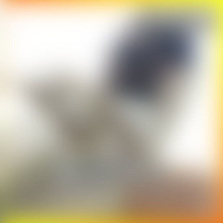 No８６６　亀頭責め　○○○　○○○束　目隠し　○○○　SM sample 1