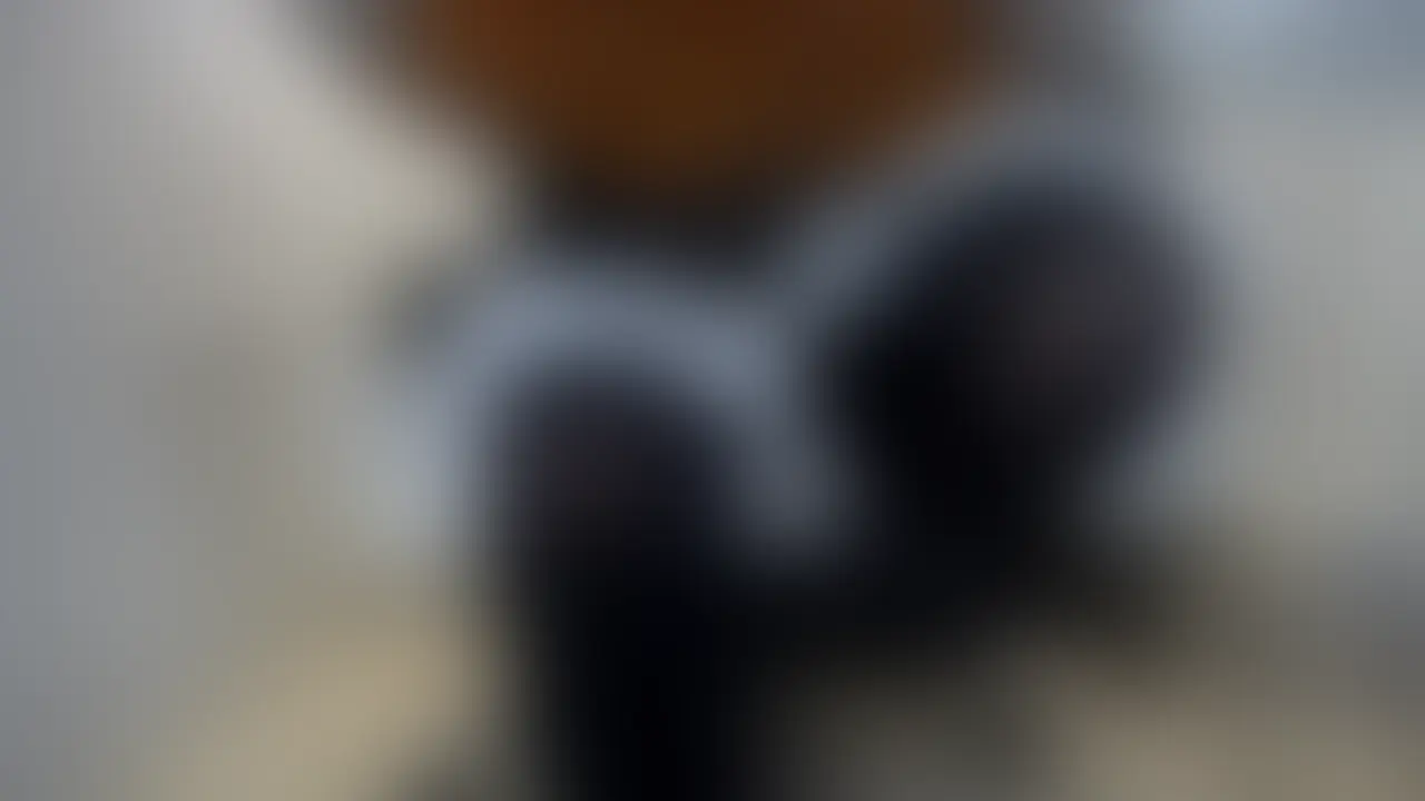 2026-2-19
ðå®åé
ä¿¡ã¢ãŒã«ã€ãNoBGM(2æ18æ¥é
ä¿¡)ð
æšæ¥ã®å¶äœé
ä¿¡ãå€é
ããŸã§ä»ãåã£ãŠãããŠããããšãïŒâš
ã¢ãŒã«ã€ãããåŸ
ããããŸããã
ã¿ããªããåéãããã¹ã®å
容âŠâŠæ£çŽãæ³å以äžã«ãçµ¶æãã®æåã䞊ãã§ãŠãèŠè¿ããªããéããŠãŸãïŒç¬ïŒ
ã¢ãŒã«ã€ãã§å®æããç€é¢ããã£ãã埩ç¿ããŠãæ¥é±ã®ç§ã®ãå£ãã£ã·ãããäºç¿ããŠãããŠãâ¡
-------------------------------
ðLive Stream Archive NoBGM (February 18th Stream)ð
Thanks for sticking around late last night for the production stream! âš
Sorry it took so long to get the archive up.
The content from the mass submissions you all sent in... Honestly, seeing the word âdespairâ lined up more than I ever imagined while reviewing it had me shaking (lol).
Take your time reviewing the completed board in the archive and prep for how utterly broken I'll be next week â¡ (2/2)