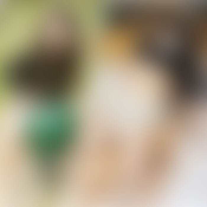 こんばんは🐶♡
今週の新作動画アップです！

今回は公園デート🌼
あったかくなってきたから心地よかった~(*´°`*)
お花きれいに撮れてたの見えた💐？？

なが~い滑り台となんかあみあみのアスレチックと…
靴のチョイス間違えてたけど、
スリル満点ですごく楽しかった🥰♡

公園で準備運動したあとは…🏩❣️

いちゃいちゃしてフェラして…💋
練習の成果出てたかな🥺？？
騎乗位で気持ちよくなったあとは
正常位でいっぱい気持ち良くなっちゃった💓

最後はもちろん…🍼💕

今週も見てくださってありがとうございます🐶！ 
［いいね♡］とコメントお待ちしてます🙌

【この動画の顔出しバージョン↓↓↓】
https://myfans.jp/posts/65a46141-6a11-4430-8aba-a7d2b78c689e?utm_medium=referral&utm_source=share&utm_campaign=post_created (2/2)