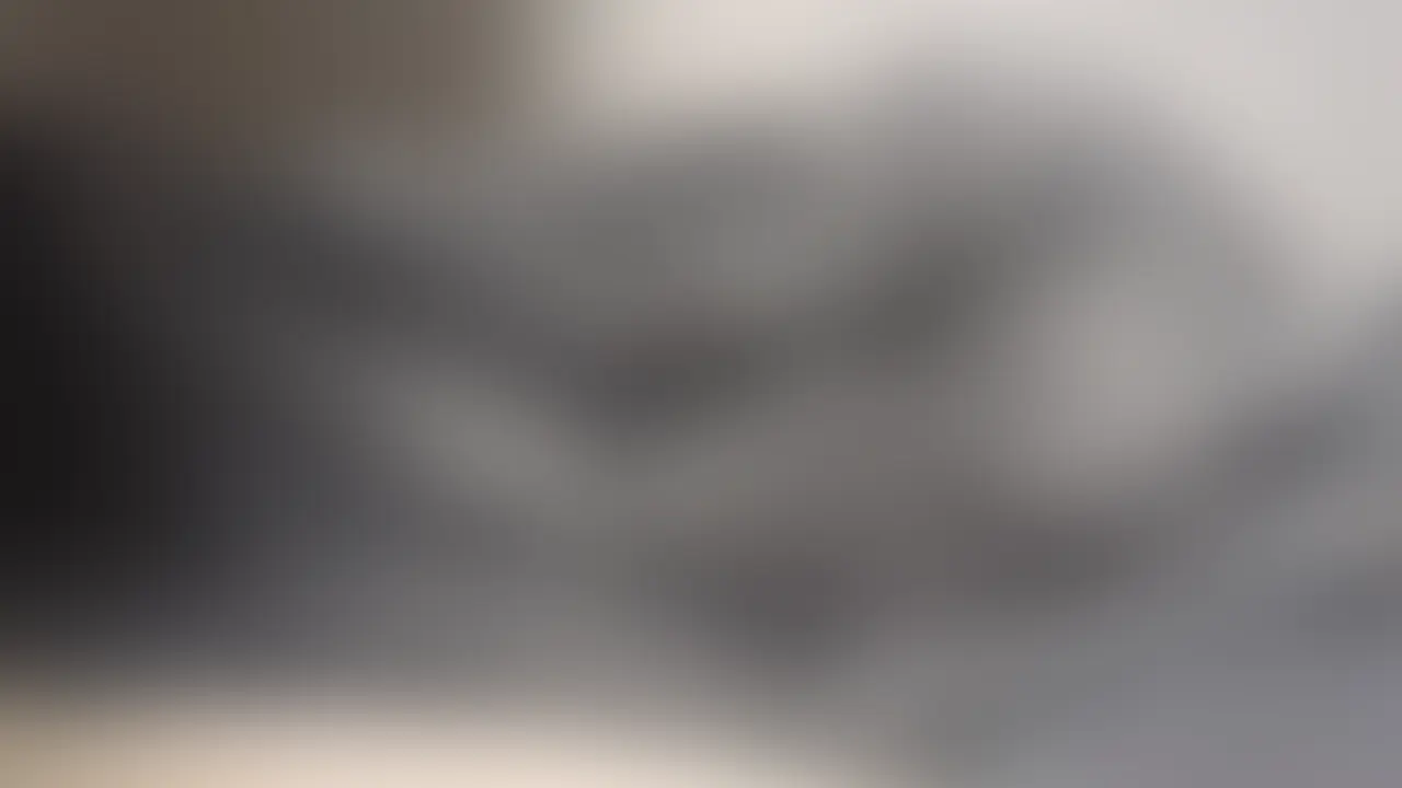 毛布かぶりながらこっそりおなにーしました🤭 (2/2)