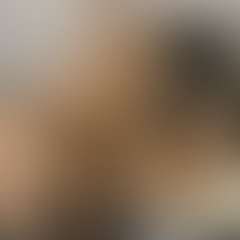 ※サンプル画像です。 sample 1