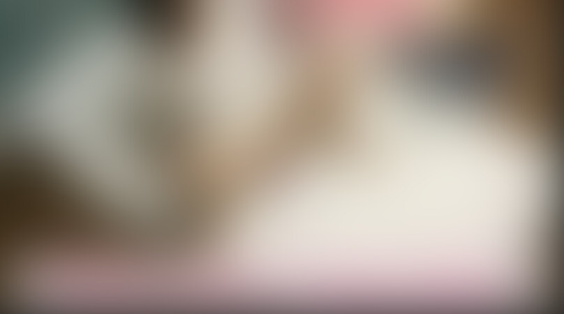 【ファン限定フル動画】🎁
「あっ、おもちゃ気持ちいい…」お気に入りのおもちゃでオナニーする可愛い女子◯生。 (2/2)