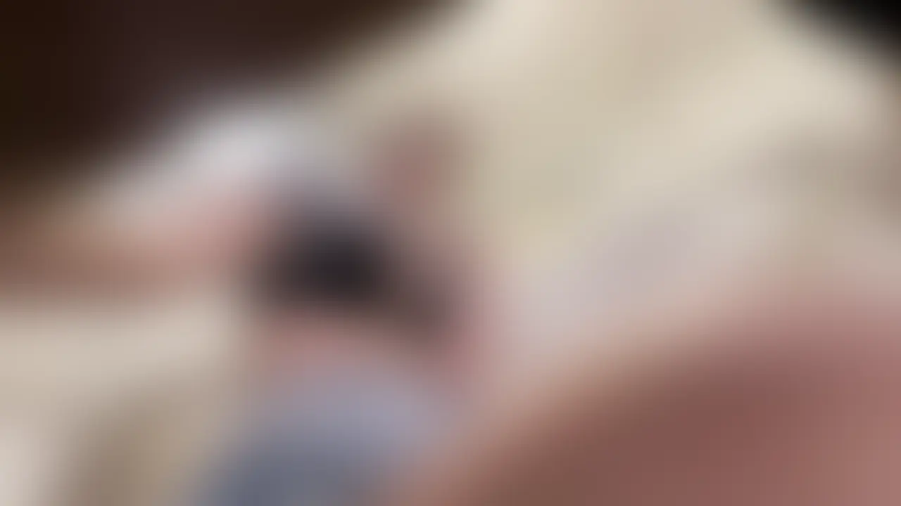 配信秘密アングル スケスケパンツ♡
過去のチェリラ配信で、こっそり下から撮っていた動画です🍒
「くるみの乳首長いんだぁ…引っ張ってください♡」
「お許しが出たらイキます⸝⸝⸝っ」
恥ずかしいセリフを言いながらシてます♡
アナルにローター当ててって言われたので、
ディルドさんを入れながら、当てちゃいました(´∩ω∩`)💦
足フェチさん(特に太もも)が楽しめるアングルになってます♡
🎥 大容量❣️27分33秒/2000円(販売は3月末まで限定です)
ご主人様・見放題プランの方は無期限でいつでも観られます! (2/2)