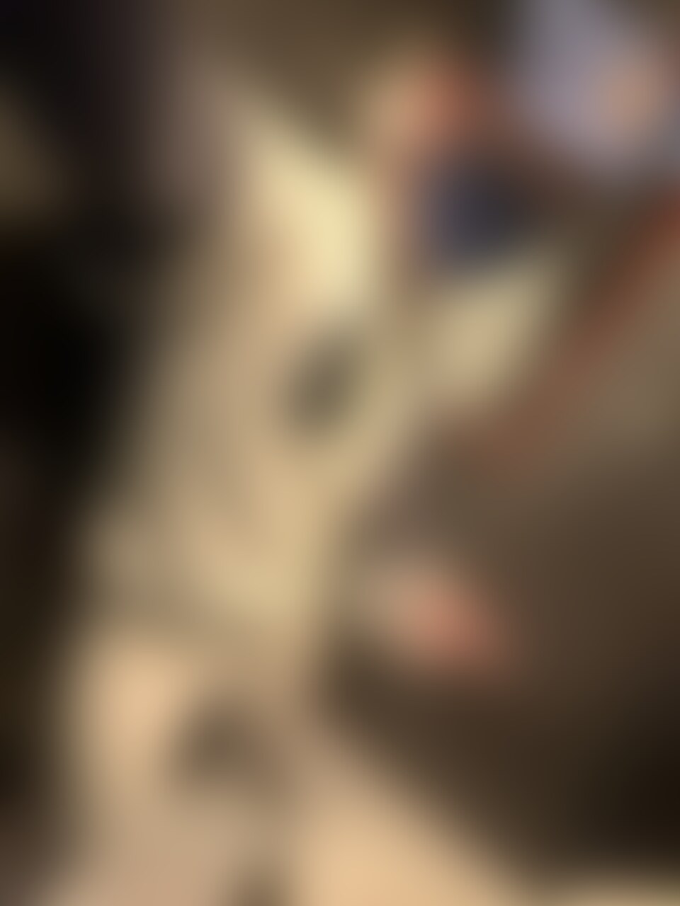ユニ sample 1