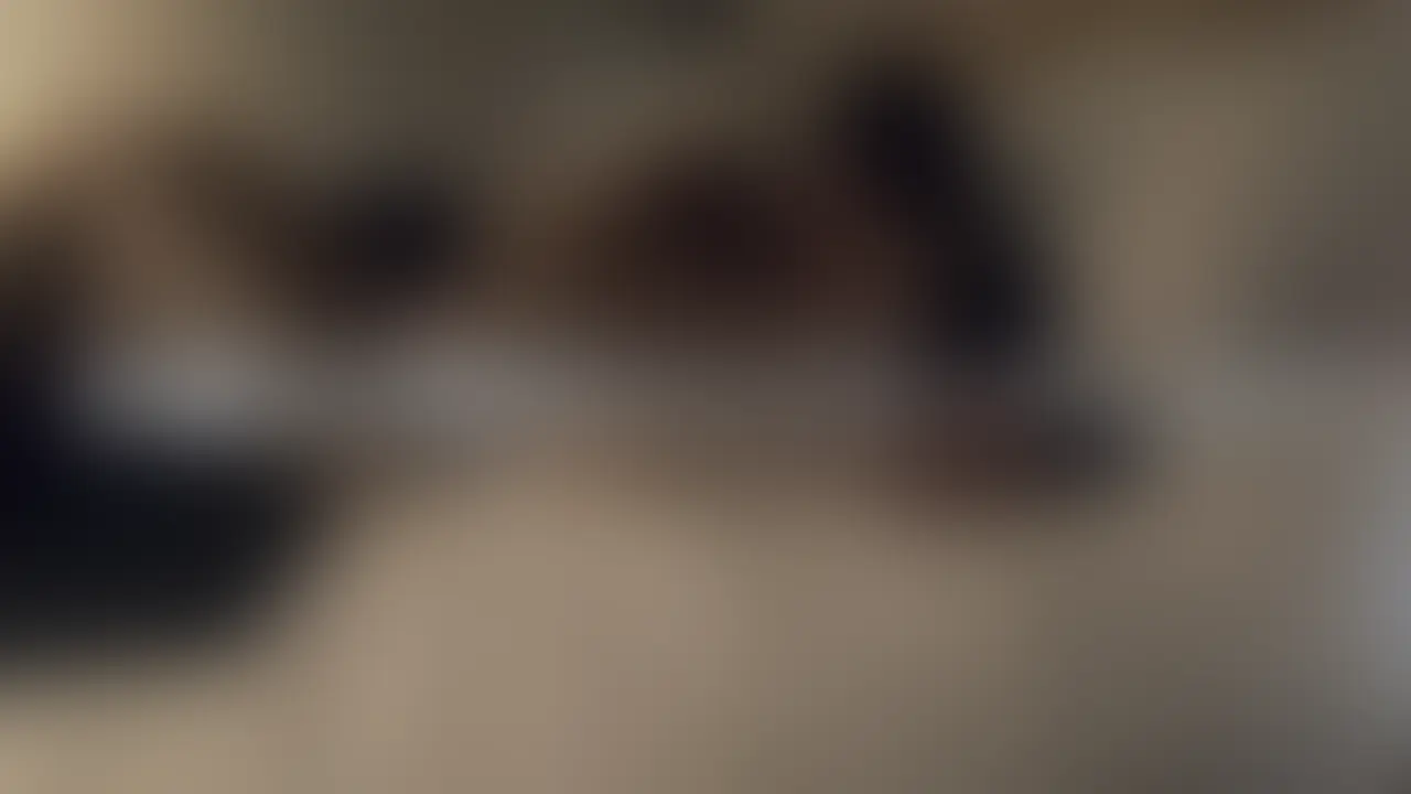 ［いいね♡］を押してから見てもらえると嬉しいです💗
 初投稿です
 タイトル「初めてのお泊まりデートからエッチまで」 シリーズ②
 
 初めてお泊まりデートしてきた夜の動画です。
 初々しさ全開のお二人を見てください
 
 【SNSアカウント✨】
 X(Twitter)🐦
 とあるカップルの日常
 https://x.com/daily_life_sex (2/2)