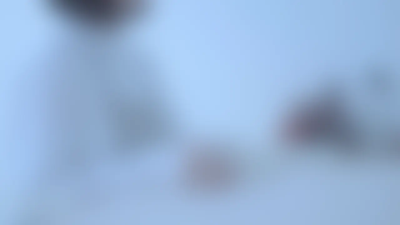 ライトプラン以上向けの動画になります。 (2/2)