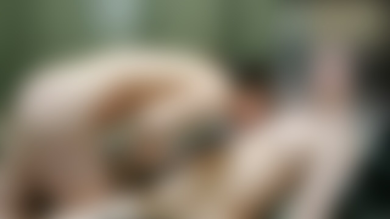 手コキ詰め合わせ2
2人の手コキ詰め合わせです。一人目は手コキでイキそうになったら即座にエロエロフェラで口内発射フィニッシュ!スケベなエロエロフェラでフィニッシュです。
二人目は手コキのままフィニッシュ! 二人目は2アングルで収録となっております。 (2/2)