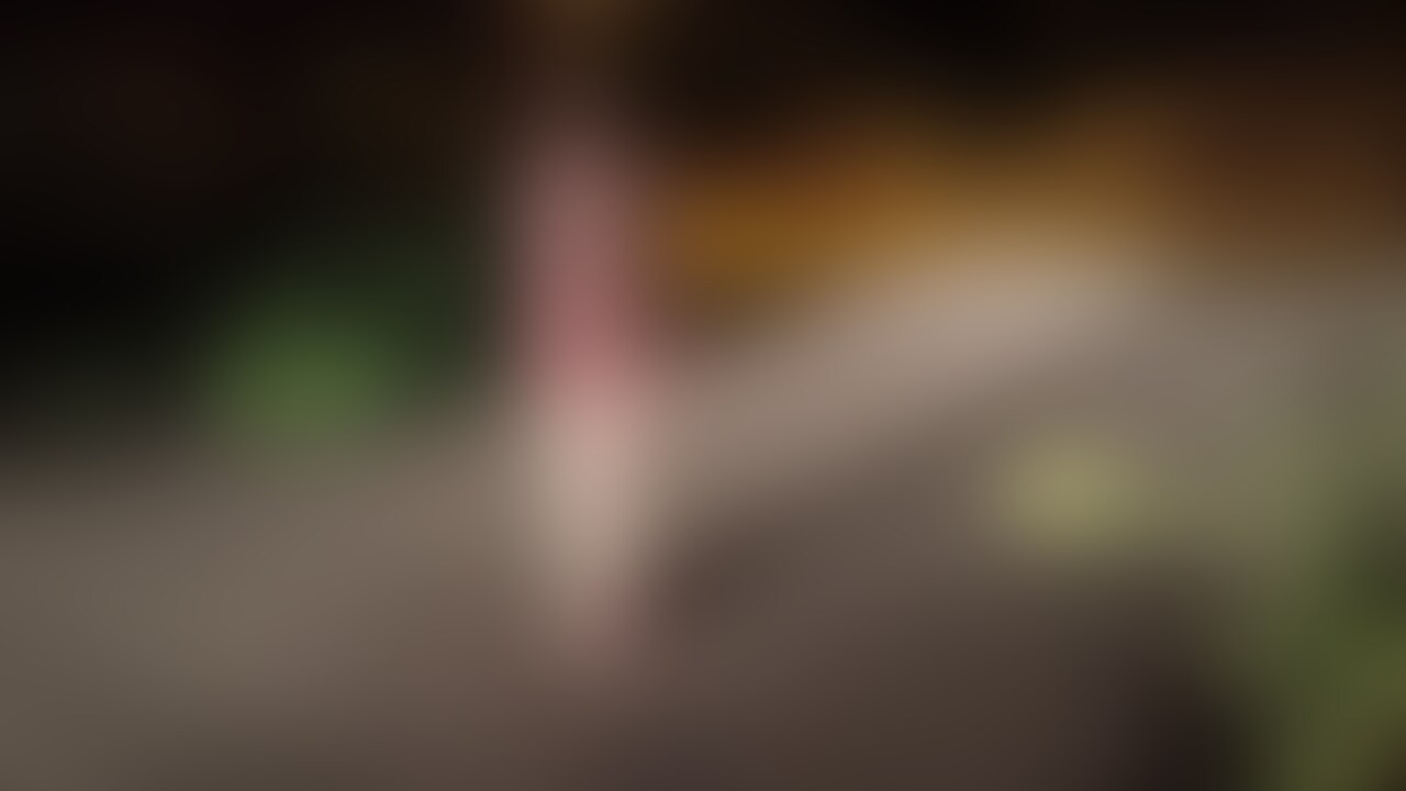 夜にライトで照らしながら撮影したよ~♪ (2/2)