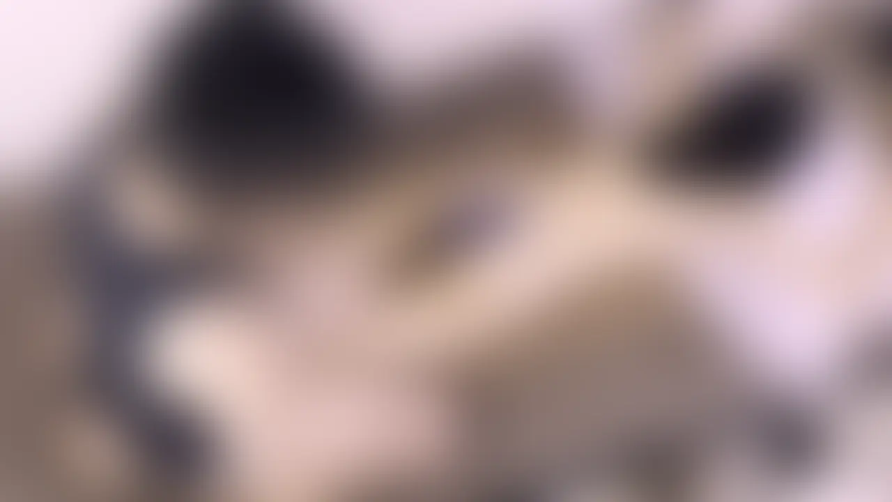 紙パンツでぬるぬるおもちゃいじりオイルマッサージ (2/2)