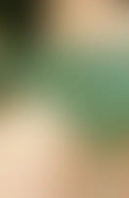 ぽぽぽ🌼(🥰女子大生の下着姿🥰)「ぽぽぽの今日のパンツです🥰🥰 緑の綿のパンツ😅😅 クロッチ汚れはプラン加入で見れますよ🥰」の投稿サムネイル
