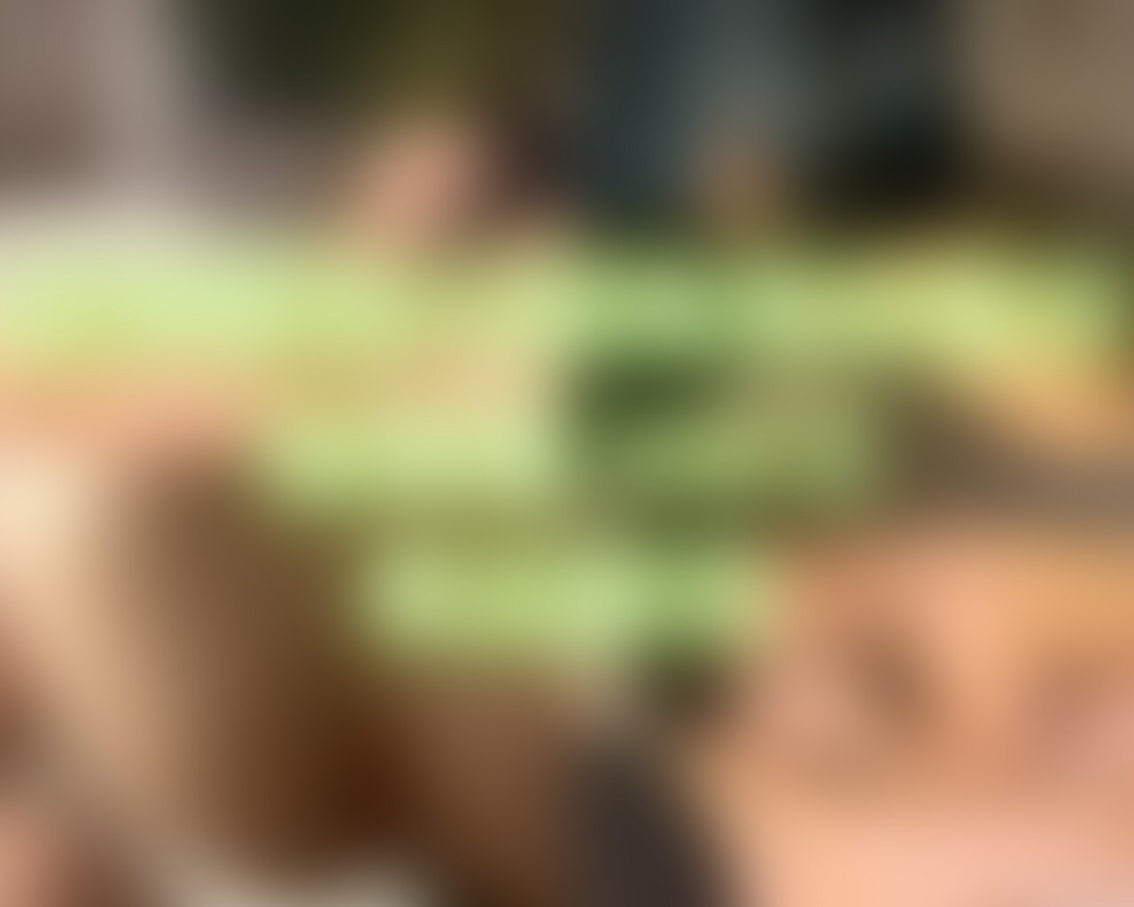 【1:29:27】全身敏感の開発済み美女👩🏻

総集編＜縦動画Ver.＞Vol.5🎥📲

女性自身が想像もしてなかった性の扉が開いて、セックス の悦びや変態さを胸に秘めた全身敏感の開発済み美女の単品販売動画をシリーズ化💡

今回は第5弾を配信🎞️初の横＆縦動画を1本に凝縮!!

そう、だから59:27〜は縦動画Ver.なのでそれまでの横動画シーンとは異なったアングルからSS級美女の恍惚をご堪能いただけます🤤

今回は、夜景が綺麗でホテル内に温泉スパが併設されている最高級ホテルにエスコートして頭トロトロにさせてみた🤫

夜景見ながらのバックとかラブホとは少し雰囲気が違うリラックスした感じが伝わるかと思います🌺

だからか、いつも以上に喘ぎ声出して感じまくって...隣の部屋から苦情が来たことは後日談として笑ってやってくださいな😂

そんな女性がセックスに没入する過程をお楽しみください🌊

VIPプランはバックナンバー制度を設けていない為、どのタイミングでご入会いただいても過去アップした動画全てをご覧いただけます🙇‍♂️

この女性との全シリーズはこちらにまとめています。

==============
【全身敏感の開発済み美女】VIPプラン
==============

◾️動画①（1:34:58）
↓↓↓
https://myfans.jp/posts/13a53323-b0fa-41d4-8177-774df329a001
◾️動画②（40:05）
↓↓↓
https://myfans.jp/posts/d1932c90-3022-4323-96be-aa1c9fed○○○7
◾️動画③（1:06:07）
↓↓↓
https://myfans.jp/posts/44dc614a-f605-435e-80ff-85f8462dae9e
◾️動画④（55:21）
↓↓↓
https://myfans.jp/posts/2f111305-91e3-45a9-a4b2-47d645d43934

単品販売ではお手頃な価格で総集編動画のフル尺をご堪能いただけます🥰

==============
【全身敏感の開発済み美女】単品販売
==============

◾️動画①（1:34:58）
↓↓↓
https://myfans.jp/posts/13a53323-b0fa-41d4-8177-774df329a001
◾️動画②（40:05）
↓↓↓
https://myfans.jp/posts/d1932c90-3022-4323-96be-aa1c9fed○○○7
◾️動画③（1:06:07）
↓↓↓
https://myfans.jp/posts/44dc614a-f605-435e-80ff-85f8462dae9e
◾️動画④（55:21）
↓↓↓
https://myfans.jp/posts/2f111305-91e3-45a9-a4b2-47d645d43934

投稿にいいねがたくさん付くとやる気が出てよりシコイ動画をアップしていきます🔥

※※※※※※※※※※※※※※
女性からは撮影、掲載の許諾を得ており、成人であることを確認しています。
※※※※※※※※※※※※※※ (2/2)