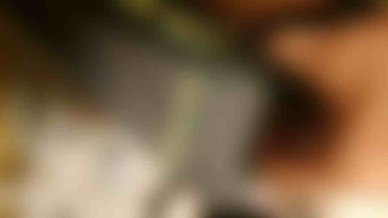 まだ見えないよね…🤔 sample 1
