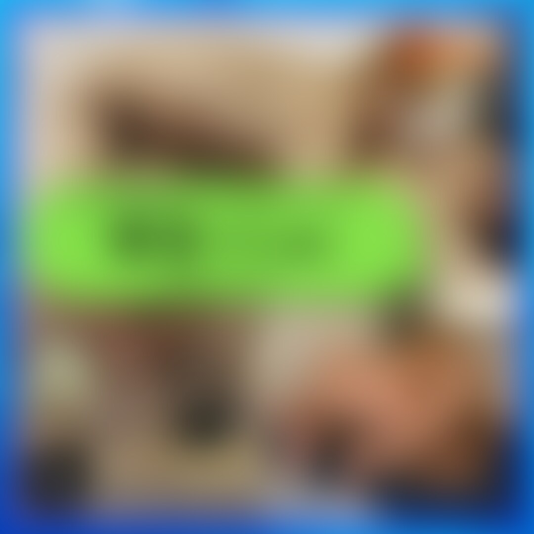 【PAST VIDEO】 sample 1